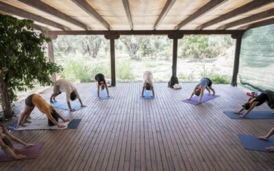 Yoga für Anfänger: Sanft in die eigene Praxis starten