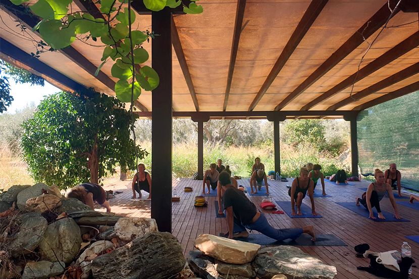Yoga für Anfänger in der Gruppe: Üben unter der Pergola im Olivenhain am Pilion